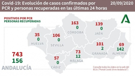 Evolución diaria de la pandemia en Andalucía (JUNTA DE ANDALUCÍA) 