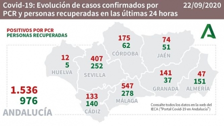 Evolución diaria de la pandemia en Andalucia (JUNTA DE ANDALUCIA)