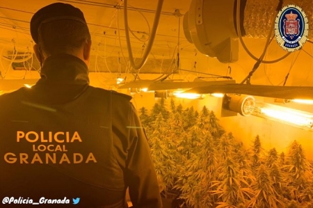 Zulo con marihuana en los bajos de un bloque de Granada, en una imagen de archivo (POLICÍA LOCAL DE GRANADA)