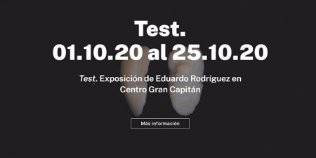 Captura de pantalla de la web de Facba sobre la exposición `Test` (EUROPA PRESS)