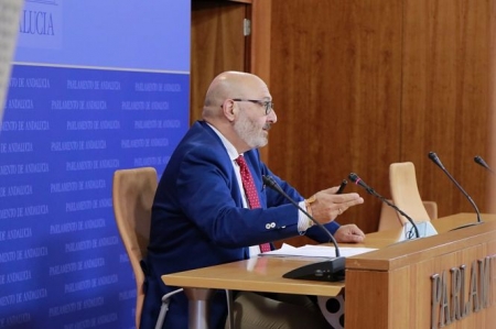 El portavoz parlamentario de Vox en Andalucía, Alejandro Hernández, en rueda de prensa, en una foto de archivo. (VOX)