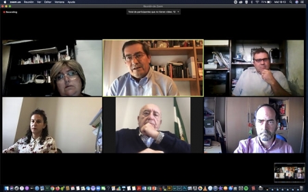 Imagen de la reunión telemática (DIPUTACIÓN)