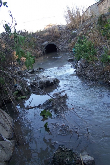 Aguas fecales en CIjuela (IU)