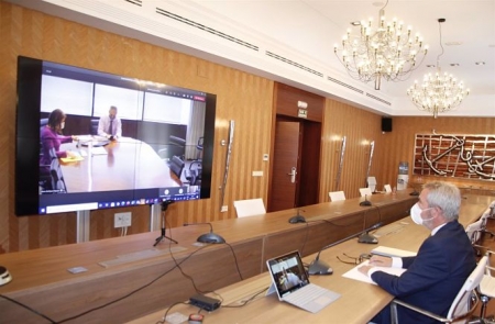 Reunión telemática (PUERTOS DEL ESTADO) 