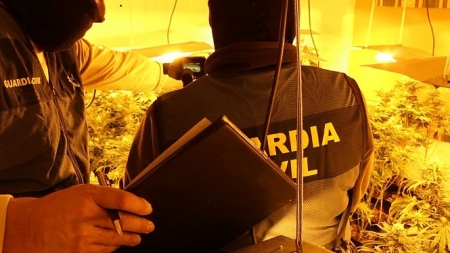 Una de las plantaciones descubiertas (GUARDIA CIVIL)