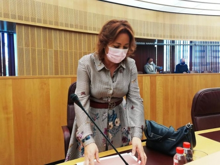 La coordinadora provincial de IU, Mari Carmen Pérez (IU)