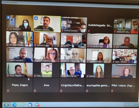 Imagen de la reunión telemática (SUBDELEGACIÓN) 