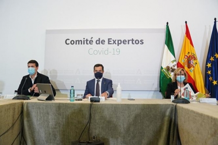 Reunión del comité de expertos (JUNTA DE ANDALUCÍA) 