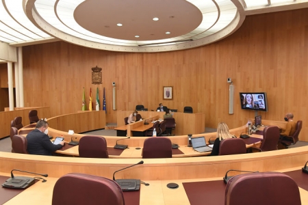 Imagen de la reunión del Consejo de Alcaldes (L.L. PEÑALVER)