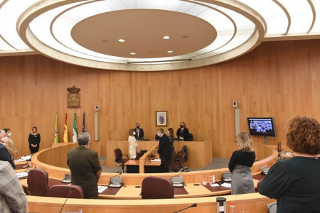 Pleno extraordinario de Diputación (M. LÓPEZ OSA)