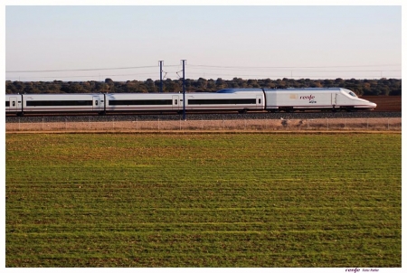 Tren AVE (RENFE)