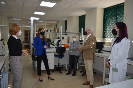 La Delegada de Empleo, Virginia Fernandez ha visitado el centro de Prevención de Riesgos Laborales (JUNTA)