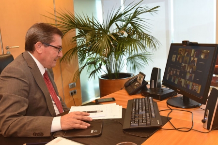 José Entrena durante la reunión telemática(R. MARTÍNEZ / DIPGRA)