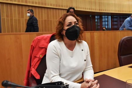 La Diputada provincial de IU, Mari Carmen Pérez (IU)
