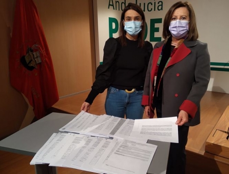 Olga Manzano y María José Sánchez Rubio han entregado las firmas (PSOE)