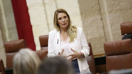La parlamentaria andaluza de Ciudadanos, Concha Insúa (CIDUADANOS)