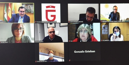 Imagen de la reunión telemática (DIPUTACIÓN)