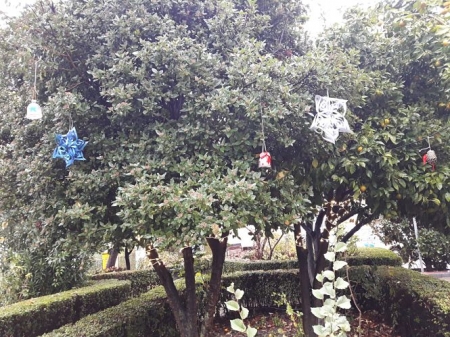 Imagen de los adornos navideños (AYTO. MONACHIL) 