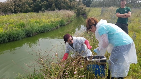 Los investigadores de la UGR en la Reserva Natural de la Laguna de Fuente de Piedra, en Málaga (UGR) 