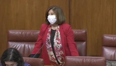 La parlamentaria andaluza del PSOE, María José Sánchez RUbio (PSOE)