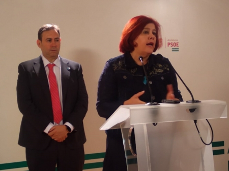 La diputada del PSOE en el Congreso por Granada Elvira Ramón, junto al diputado José Antonio Rodríguez Salas (PSOE) 
