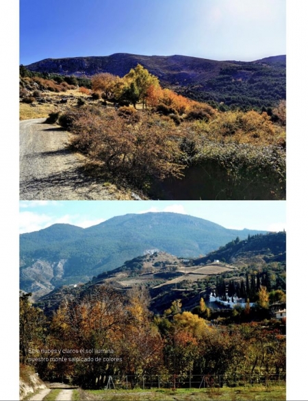 Una de las imágenes del fotolibro (AYTO. MONACHIL) 
