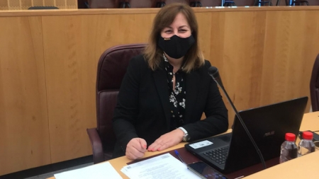 Cristina Jiménez, Diputada Provincial de Vox (VOX)