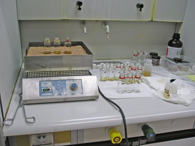 Mineralización de las muestras, en un laboratorio de la Estación Experimental del Zaidín (FUNDACIÓN DESCUBRE) Mineralización de las muestras, en un laboratorio de la Estación Experimental del Zaidín (FUNDACIÓN DESCUBRE)