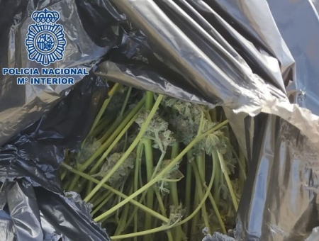 Bolsa de marihuana intervenida (POLICÍA NACIONAL) 