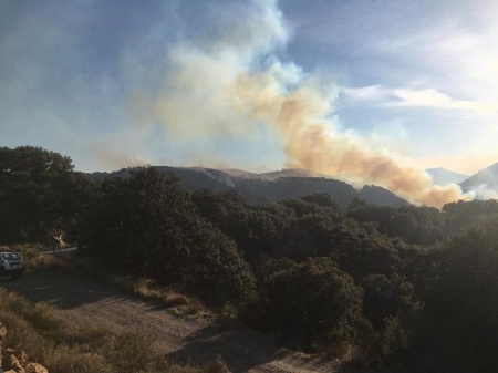 Incendio forestal en Juviles (INFOCA)