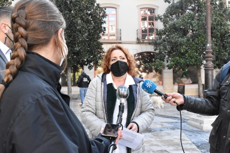 La coordinadora provincial de IU, Mari Carmen Pérez (IU)