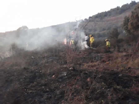 Bomberos trabajando en el incendio (INFOCA) 