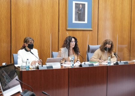 La Consejera de Igualdad, Rocío Ruiz (JUNTA)