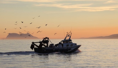 Imagen de un barco pesquero (JUNTA) 