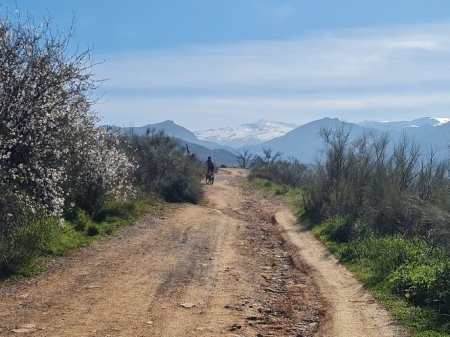 Camino real de Los Neveros (IU)