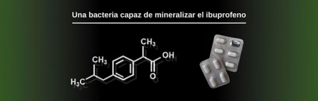 EEZ-CSIC 