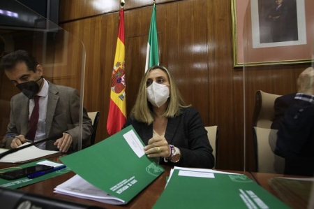 Marifran Carazo durante la Comisión de Fomento (JUNTA)