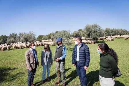 Presentación del pastoreo en la Dehesa del Generalife (PATRONATO DE LA ALHAMBRA) 