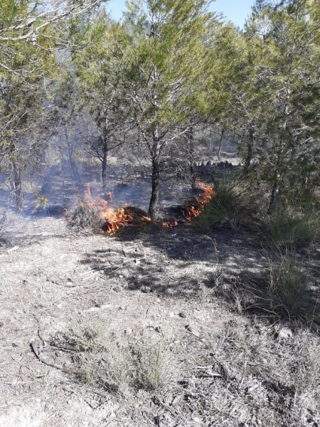 Lugar donde se ha producido el incendio (INFOCA) 