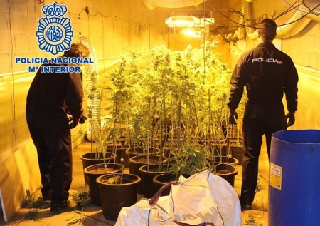 Plantación de marihuana en uno de los habitáculos de una de las naves (POLICIA NACIONAL)