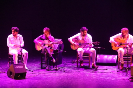  Imagen de una actuación flamenca  (AYTO. ALMUÑÉCAR)
