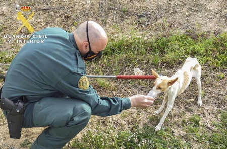 Imagen del rescate (GUARDIA CIVIL)