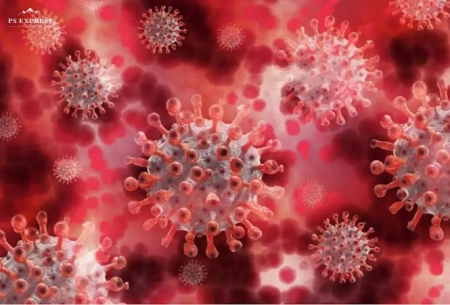 Coronavirus - PUBLIC DOMAIN