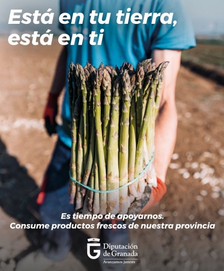 Cartel de la campaña (DIPUTACIÓN)