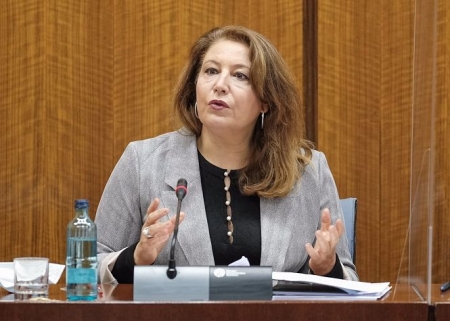 La consejera de Agricultura, Ganadería, Pesca y Desarrollo Sostenible, Carmen Crespo, en comisión parlamentaria, en imagen de archivo (ALFREDO DE ANCA)