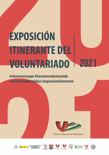 PLATAFORMA DEL VOLUNTARIADO