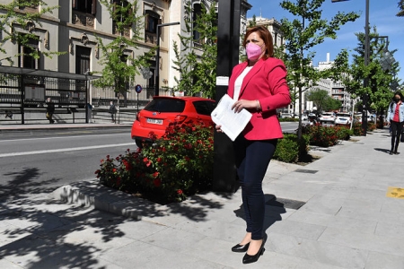 La coordinadora provincial de IU, Mari Carmen Pérez (IU)