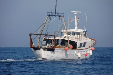 Barco pesca de arrastre (COMUNIDAD)