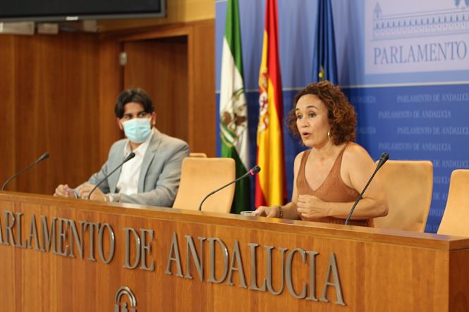 Los parlamentarios de Adelante Andalucía, Ismael Sánchez y Ana Naranjo, este miércoles en la rueda de prensa (UNIDAS PODEMOS) Los parlamentarios de Adelante Andalucía, Ismael Sánchez y Ana Naranjo, este miércoles en la rueda de prensa (UNIDAS PODEMOS)
