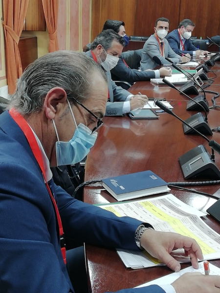 Imagen de la reunión (JUNTA)